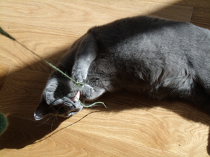 Flanelle du Coeur Royal