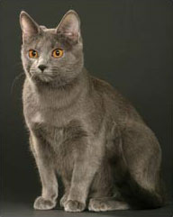 Liane Vom Eichfelsen