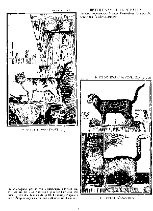 Vladimir du Parc Royal