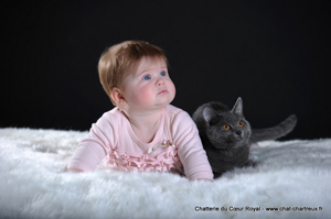 Dom Tiber du Cœur Royal