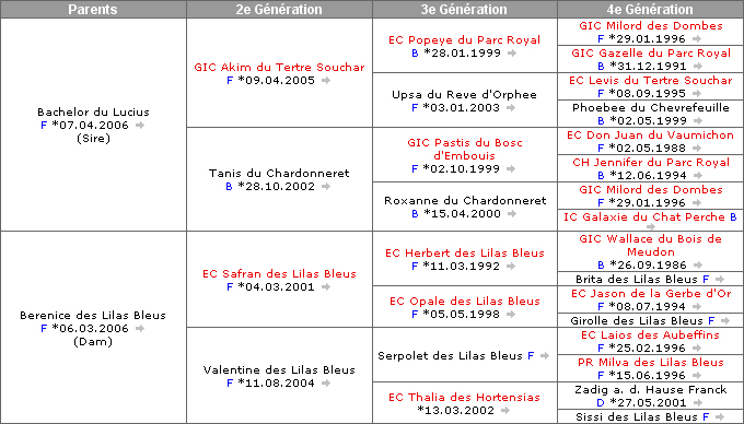 Pedigree de Coeur Royal du Royaume de Morgane