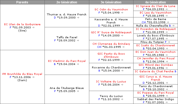Pedigree de Demoiselle du Coeur Royal
