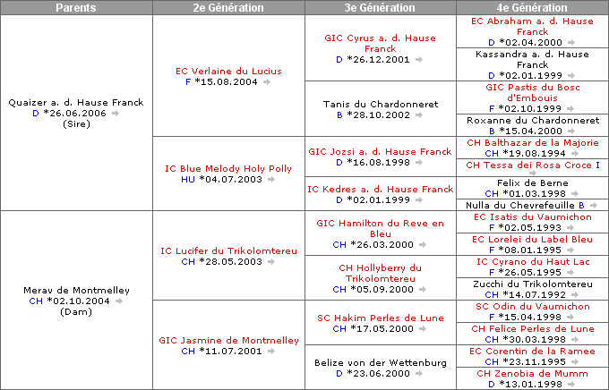 Pedigree de Demoiselle du Coeur Royal