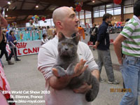 Faucon Noir du Coeur Royal 