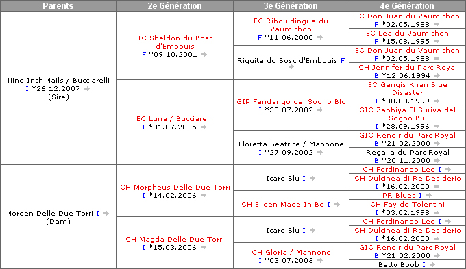 Pedigree d'Orpheus Delle Due Torri