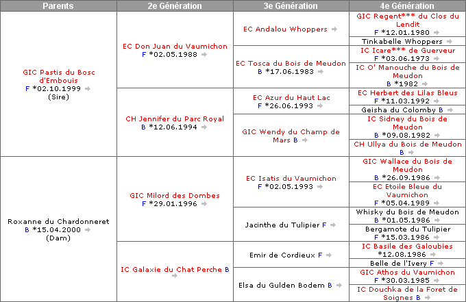 Pedigree de Vladimir du Parc Royal